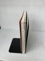 【※イタミ有り】ロゴデザイン・ラブ! -僕の失敗と成功、みんなの話からわかるブランド・アイデンティティのつくり方