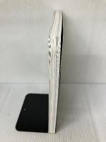 【※箱無し・付属品欠品】『ポーの一族』と萩尾望都の世界【普及版】 (原画集・イラストブック) 小学館 萩尾 望都