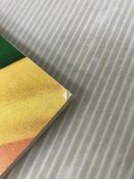 iPod Fan 2007 Spring (株)マイナビ出版