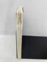 藤田晋の仕事学 (日経ビジネス人文庫) 日本経済新聞出版 藤田 晋