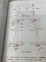 【※カバー無し、書き込み有り】全国柔道整復学校協会監修教科書解剖学第2版 医歯薬出版 岸清