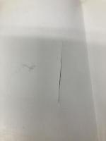 ワッ!逆転満塁サヨナラエラー―プロ野球珍プレー・記録集 エーアンドエム茜出版 庵原英夫