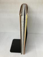 【※イタミ有り】夢万年 聖獣伝説  江上波夫