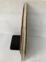 【※イタミ有り】薔薇のニッティング: クロス・ステッチブック 日本ヴォーグ社 風工房