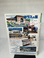 【※イタミ有り】きらきらビーズ: ビーズで作るアクセサリー・インテリア・12星座・お人形・動物・おさいふ 雄鶏社