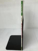 【※イタミ有り】きらきらビーズ: ビーズで作るアクセサリー・インテリア・12星座・お人形・動物・おさいふ 雄鶏社