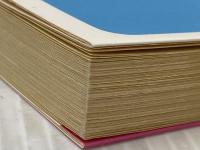 クララ白書 (1980年) (集英社文庫―コバルトシリーズ)  氷室 冴子