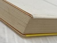 娘と私の部屋 (集英社文庫) 集英社 佐藤 愛子