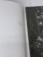 Deco Room with Plants in NEW YORK―植物といきる。心地のいいインテリアと空間のスタイリング ビー・エヌ・エヌ新社 川本諭