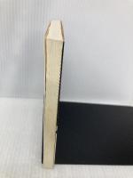 ロックス (集英社文庫 や 11-3) 集英社 山川 健一