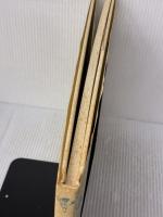 【※イタミ有り】野の花と小人たち―画集 (安野光雅の本 1) 岩崎書店 安野 光雅