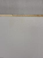 【※イタミ有り】野の花と小人たち―画集 (安野光雅の本 1) 岩崎書店 安野 光雅