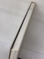 【※イタミ有り】Go Hasegawa Works TOTO出版 長谷川豪