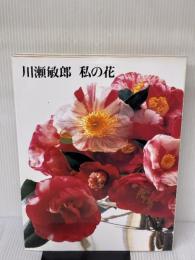 川瀬敏郎私の花 講談社 川瀬 敏郎