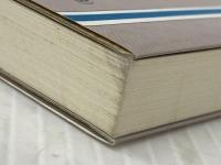 灼かれた記憶を凍る世界で 創元社 天瀬裕康