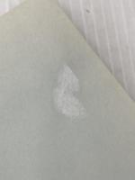 灼かれた記憶を凍る世界で 創元社 天瀬裕康