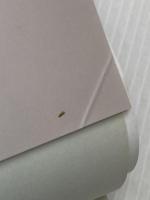 灼かれた記憶を凍る世界で 創元社 天瀬裕康