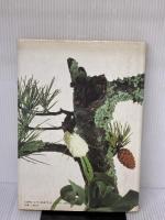 【※書き込み有り】花は野にあるように: なげいれのすすめ 淡交社 川瀬 敏郎