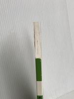 ホメオパシー方法論へのガイド ホメオパシー出版 Ian Watson