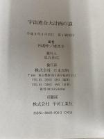 閃光の救済シリーズ 11 たま出版 円 ソウ作