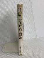 閃光の救済シリーズ 11 たま出版 円 ソウ作
