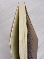 真気の入れ方と邪気の抜き方: 色彩・言葉・形が気を動かす コスモス・ライブラリー 本宮 輝薫