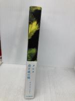 タヒチ 昼と夜の間 シー・エム・エス テラウチマサト