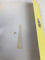 ヨーヨーマスター最終奥義書: スリーピングプレイストリングプレイルーピングプレイQ&A ジャパン・ミックス ジーエフドメイン