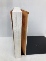 シリーズ・赤毛のアン(1) 赤毛のアン (ポプラポケット文庫 451-1 シリーズ・赤毛のアン 1) ポプラ社 ルーシー・モード モンゴメリ