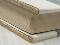 荒れ地野ばら (1981年) 新日本出版社 山口 勇子