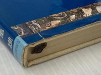 使徒たちの物語―現代人に挑戦する十二使徒雄渾の人生記 (1978年)※イタミ有