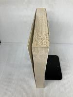 WINDOWSトラブル対策大全 日経BP 高橋 基信