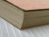 家庭料理の基礎 (1959年)