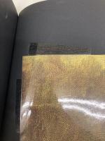 マグダラのマリアと聖杯 英知出版 マーガレット・スターバード