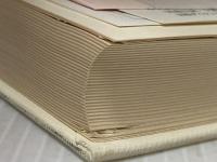 古代ローマ喜劇全集 第1巻 東京大学出版会 プラウトゥス※カバー無し