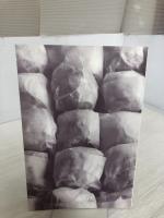 【※カバー無し】A.R.Iのお菓子の提案―dailyマフィンとビスケット 文化出版局 森岡 梨