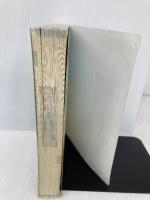 【※カバー無し】Nintendo DREAM 任天堂ゲーム攻略本 スーパーペーパーマリオ  毎日コミュニケーションズ NintendoDREAM編集部