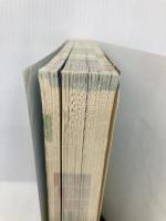 【※カバー無し】Nintendo DREAM 任天堂ゲーム攻略本 スーパーペーパーマリオ  毎日コミュニケーションズ NintendoDREAM編集部