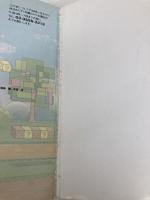 【※カバー無し】Nintendo DREAM 任天堂ゲーム攻略本 スーパーペーパーマリオ  毎日コミュニケーションズ NintendoDREAM編集部