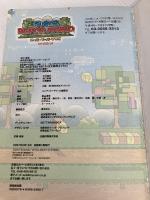 【※カバー無し】Nintendo DREAM 任天堂ゲーム攻略本 スーパーペーパーマリオ  毎日コミュニケーションズ NintendoDREAM編集部