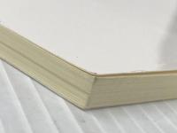 どうしたら毎日幸せに働けるのだろう　自分の適性にあった仕事の見つけ方 まんがびと アサカワコウイチ