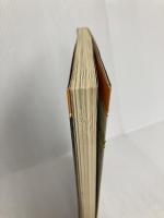 ファイア-エムブレム: 紋章の謎 (覇王ゲ-ムスペシャル 6) 講談社