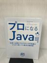 【※カバー無し】プロになるJava―仕事で必要なプログラミングの知識がゼロから身につく最高の指南書 技術評論社 きしだ なおき