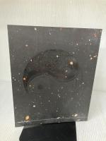 小沢剛：同時に答えるＹＥＳとＮＯ！