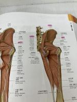 【※書き込み有り】プロメテウス解剖学 コア アトラス 第2版 医学書院 坂井 建雄