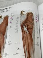 【※書き込み有り】プロメテウス解剖学 コア アトラス 第2版 医学書院 坂井 建雄