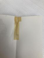 執念の家譜 (講談社文庫 な 4-5) 講談社 永井 路子