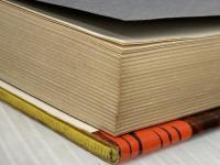 爆弾と銀杏 (1970年) 講談社 マイケル・ギャラガー※イタミ有