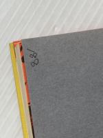 爆弾と銀杏 (1970年) 講談社 マイケル・ギャラガー※イタミ有