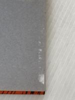 爆弾と銀杏 (1970年) 講談社 マイケル・ギャラガー※イタミ有